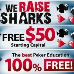 We Raise Sharks Ad - Flash